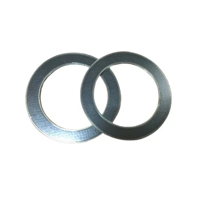 Graphite Gasket with Eyelets