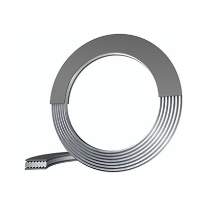 Kammpfofile Gasket with Basic Type